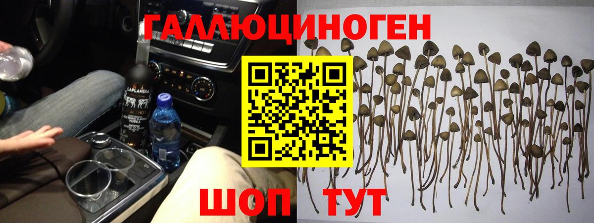 Псилоцибиновые грибы мицелий  Вход с VPN  Саров  Псилоцибиновые грибы Magic Shrooms 